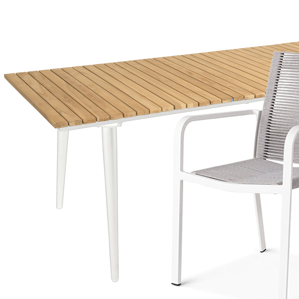 Butterfly | Fontelina Tuinset