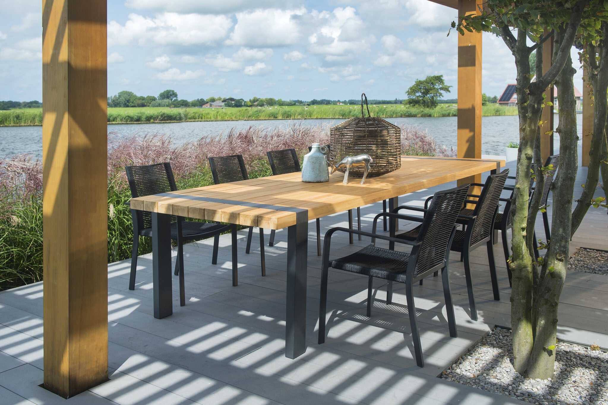 Butterfly-Twil 0824_030