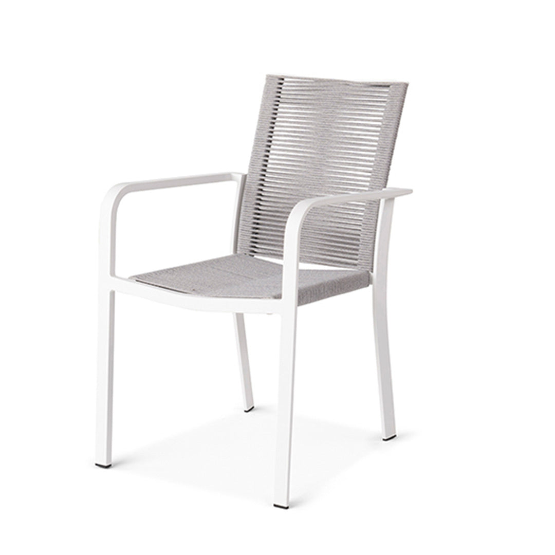 Butterfly white_light grey